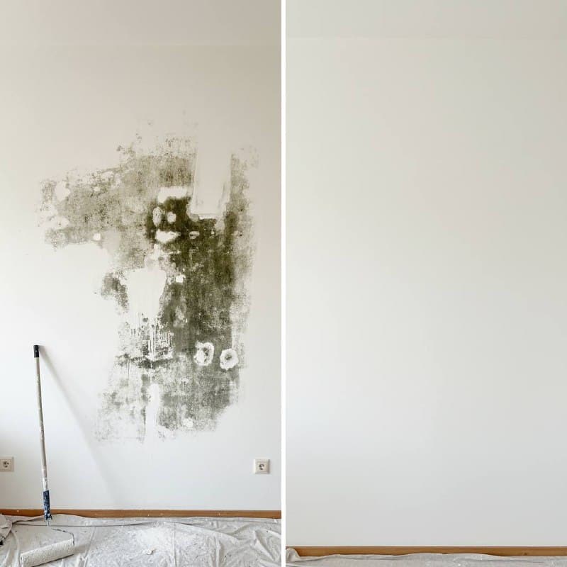 Vorher/Nachher Vergleich: Links Schimmelbefall an der Wand, rechts fachgerecht sanierte saubere Wand